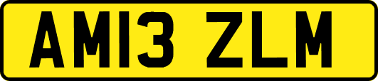 AM13ZLM