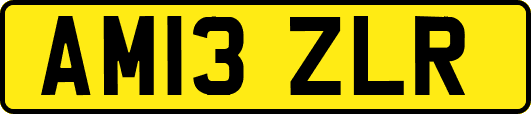 AM13ZLR