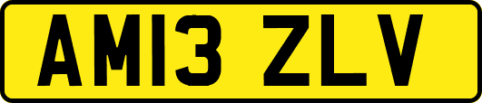 AM13ZLV