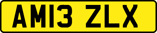 AM13ZLX