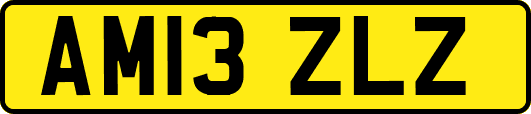 AM13ZLZ