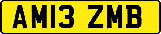 AM13ZMB