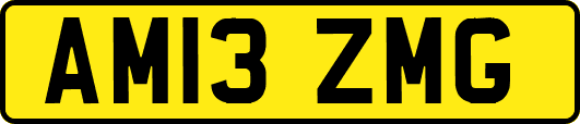 AM13ZMG