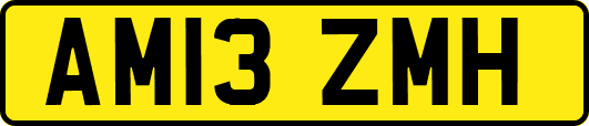 AM13ZMH