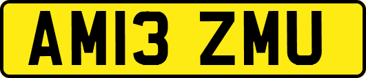 AM13ZMU