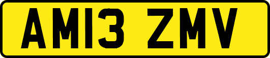 AM13ZMV
