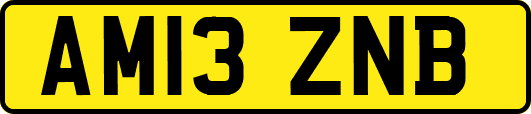 AM13ZNB