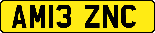 AM13ZNC