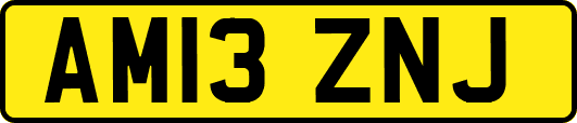 AM13ZNJ