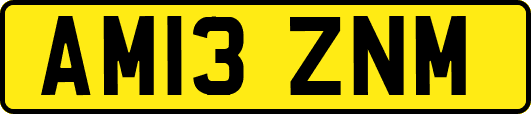 AM13ZNM