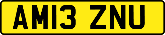 AM13ZNU