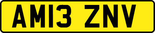 AM13ZNV