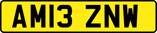 AM13ZNW
