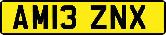 AM13ZNX
