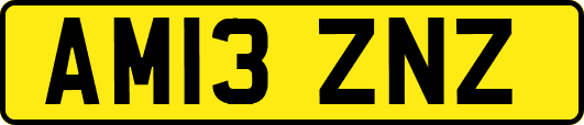 AM13ZNZ