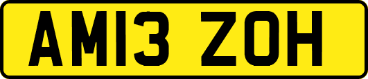 AM13ZOH