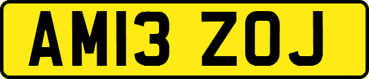 AM13ZOJ