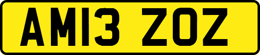 AM13ZOZ