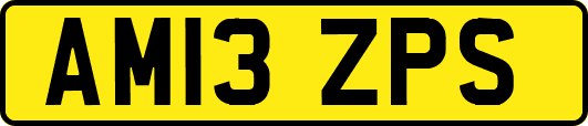 AM13ZPS