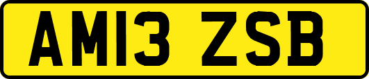 AM13ZSB