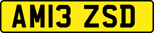 AM13ZSD