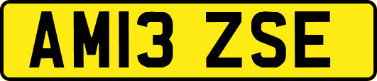 AM13ZSE