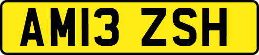 AM13ZSH