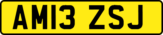 AM13ZSJ