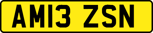 AM13ZSN