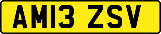 AM13ZSV