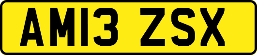 AM13ZSX