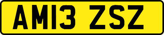 AM13ZSZ