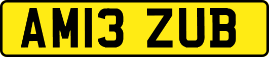 AM13ZUB