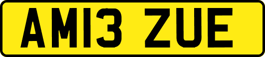 AM13ZUE