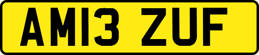 AM13ZUF