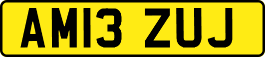 AM13ZUJ