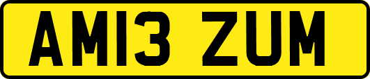 AM13ZUM