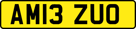 AM13ZUO