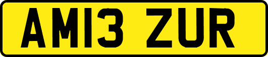 AM13ZUR