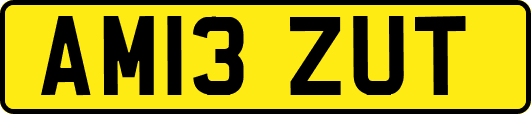 AM13ZUT