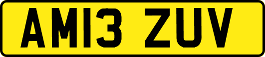 AM13ZUV