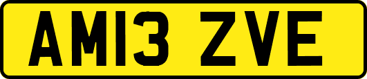 AM13ZVE