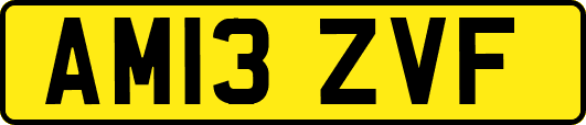 AM13ZVF