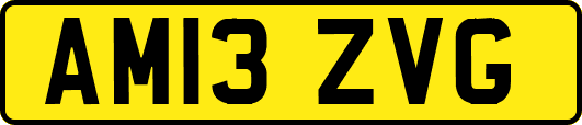 AM13ZVG