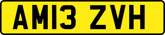 AM13ZVH