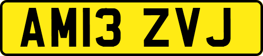 AM13ZVJ