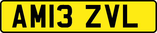 AM13ZVL