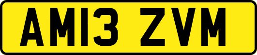 AM13ZVM