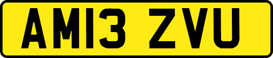 AM13ZVU