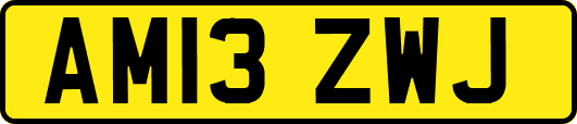 AM13ZWJ